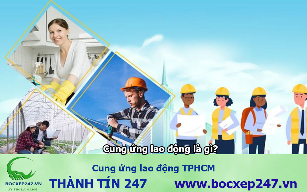 Tổng Quan Về Thành Tín 247